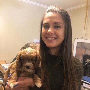 Meet your Posher, Abby